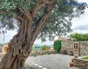 Calma Estate - Image 1