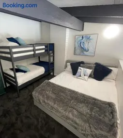 27 Alpine Brumby - Image 3