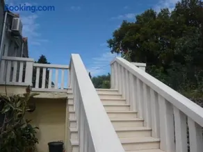 The Olive Tree - Image 3