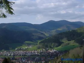 Uhlhof - Image 4