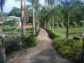 Madikale Resort - Image 2