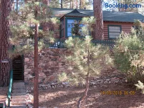 Apple Bear Cabin - Image 3