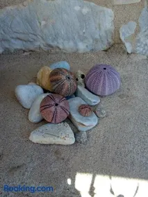 Amphitrite's House - Image 5