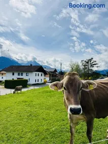 Ferienwohnung Allgäu-Traum - Image 4