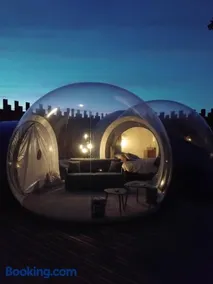 La Bulle des Brosses étoilées - Image 3
