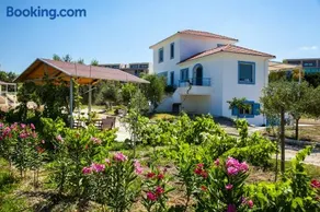 Romanos Xi - Image 2