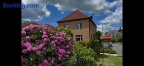 Apartmán u Javorů - Image 2