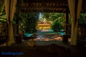 Alua Camburi - Image 4