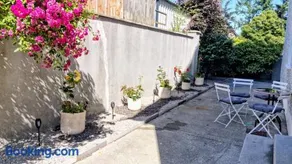 Monkey Puzzle Apartment No1 - Image 1