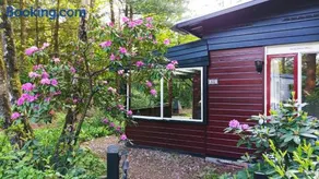 Bosbungalow de Eekhoorn - Image 3