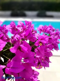 Holiday Home Villa Emma - Image 2