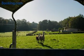 Gite Le Pré des Sylphes - Image 4