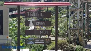 Tranquil River Nest - Image 1