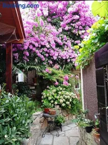 Apartman i Sobe Čule Cres - Image 1