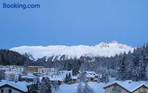 Ova Cotschna 705 - Image 2