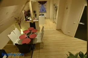 CATS Dreams - Image 3