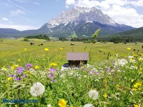 Pension Garni Hochmoos - Image 3