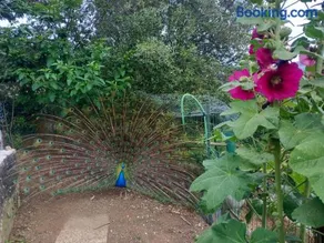 Il Giardino dei Pavoni - Image 4