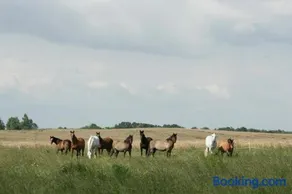 Ekoturystyka Nowina - Image 2
