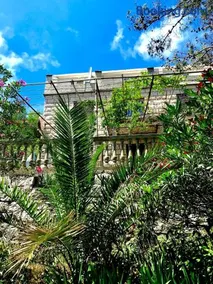 Villa Kralj Mljet - Image 2
