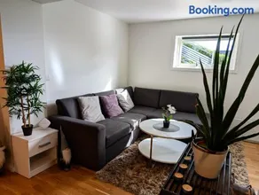 Aurora rooms in shared hause nr3 we are doing Northen Lights trip, Reaindear trip and Sommaroy Fjord trips - Image 4