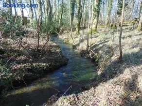 Dreamwood Cottage, Loch Lomond, Luxury Apartment. - Image 5