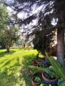 Casa Campo Isabel Quinteros - Image 2