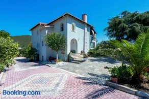 Elena's Green House - Image 1