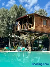 Tuz Treehouse - Image 2