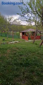 La tataie Nucșoara - Image 3