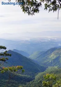 Kodai Countryside Homestay - Image 4