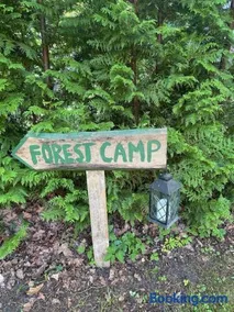 Forest Camping with grillhouse and dush - Image 1