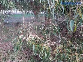 Hobreid Park - Image 2