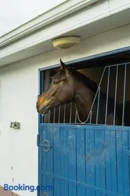 Private Room near Rock of Cashel and Workspace - Image 3