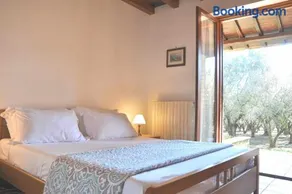 Montecasciano - Glicine - Image 3
