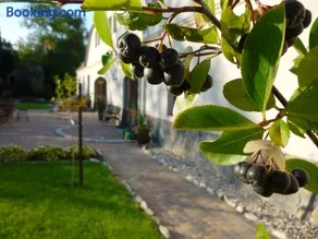 Aronia Park - Image 1