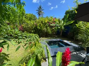 Tiny house with pool near Vaiava beach - Image 2