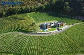 Romantik Chalet im Weingut Eichenstein - Image 1