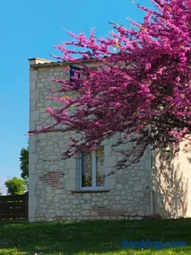 Pigeonnier de campagne - Image 3