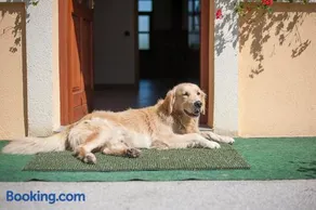 Farm Stay Kramer - Image 4