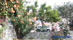 Apartments Marija - Image 2