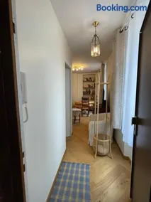 Mimosa - Image 2