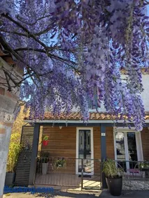 au village - Image 3
