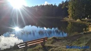 Riatschhof - Image 3
