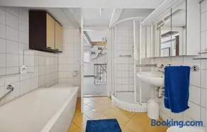 Elbferienhaus Altlaubegast - Image 2
