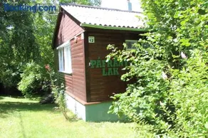 Páfrány - Lak - Image 1