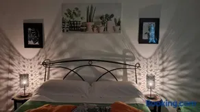 STELLA - Image 3