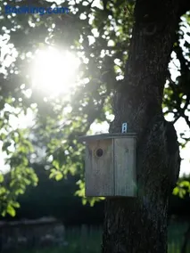 La Suite au Bois d'Ohey - Image 2