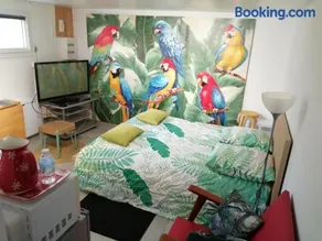 Studio Les Oiseaux - Image 3