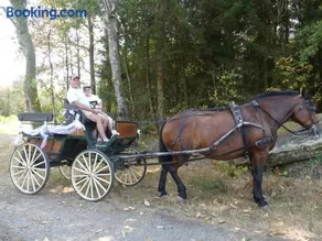 Gite Confortable Avec Climatisation Et Parking En Perigord - Fr-1-616-78 - Image 3
